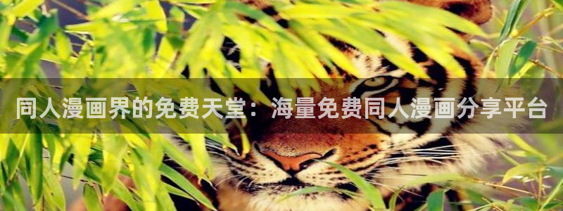 omofun,：同人漫画界的免费天堂：海量免费同人漫画分享平台