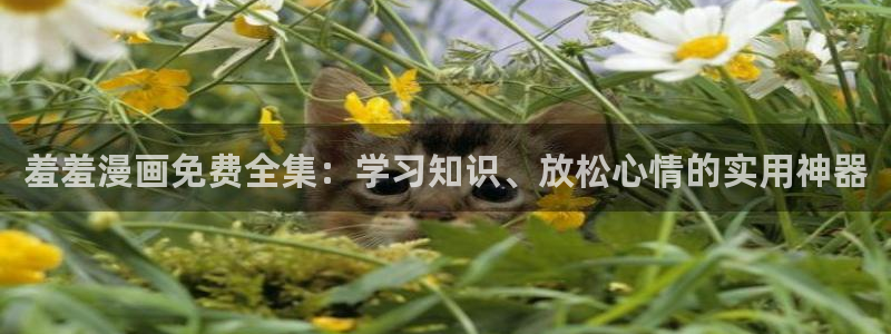omofun正版官方链接：羞羞漫画免费全集：学习知识、放松心情的实用神器