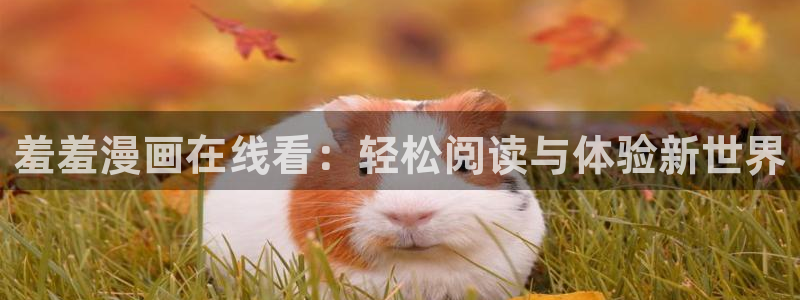 omofun动漫网：羞羞漫画在线看：轻松阅读与体验新世界