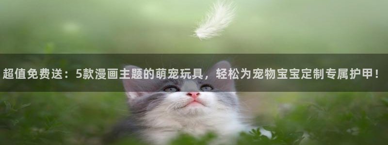 omofun官方下载：超值免费送：5款漫画主题的萌宠玩具，轻松为宠物宝宝定制专属护甲！