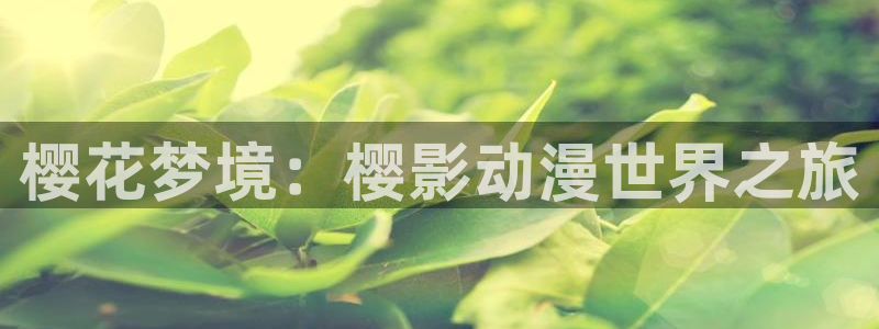 omofun网页版入口处