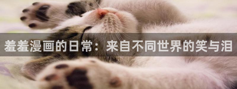 动漫omofun下载：羞羞漫画的日常：来自不同世界的笑与泪