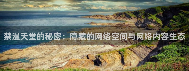 omofun官方app下载：禁漫天堂的秘密：隐藏的网络空间与网络内容生态