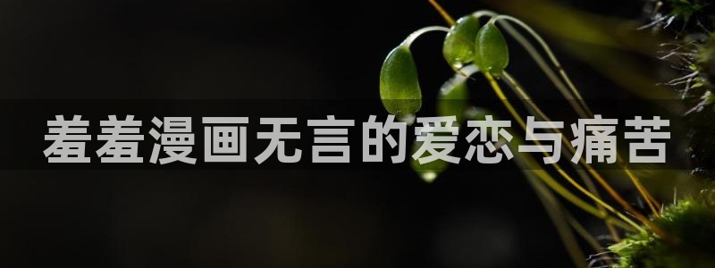 omofun网页入口版：羞羞漫画无言的爱恋与痛苦