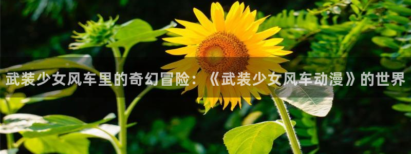 omofun注册：武装少女风车里的奇幻冒险：《武装少女风车动漫》的世界