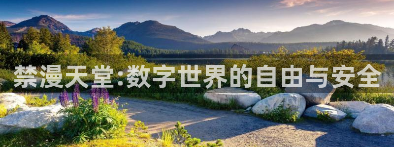 omofun,hanime：禁漫天堂:数字世界的自由与安全