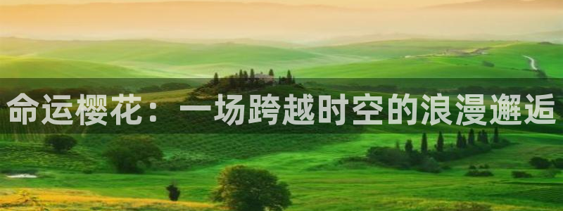 omofun正版app下载：命运樱花：一场跨越时空的浪漫邂逅