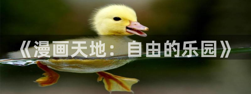 omofun动漫手机版：《漫画天地：自由的乐园》